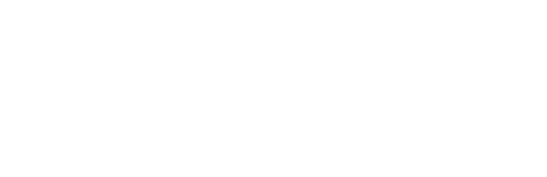 The white Rovin Capital logo.